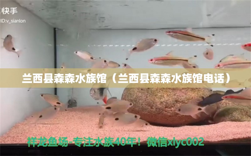 蘭西縣森森水族館（蘭西縣森森水族館電話） 全國水族館企業(yè)名錄