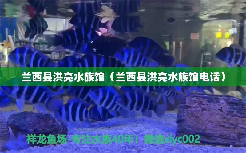 蘭西縣洪亮水族館（蘭西縣洪亮水族館電話）