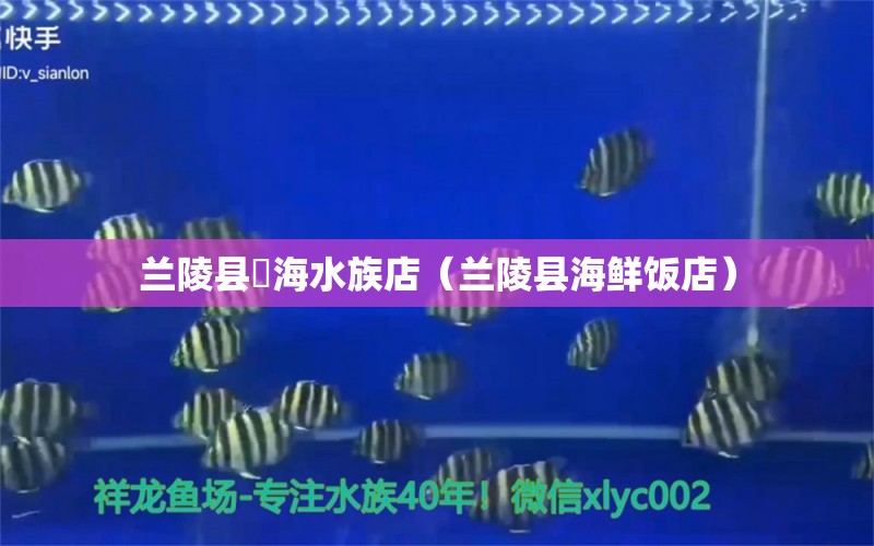 蘭陵縣喆海水族店（蘭陵縣海鮮飯店） 全國(guó)水族館企業(yè)名錄