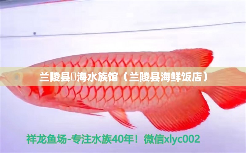 蘭陵縣喆海水族館（蘭陵縣海鮮飯店） 全國水族館企業(yè)名錄