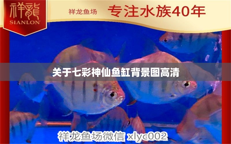 關(guān)于七彩神仙魚缸背景圖高清