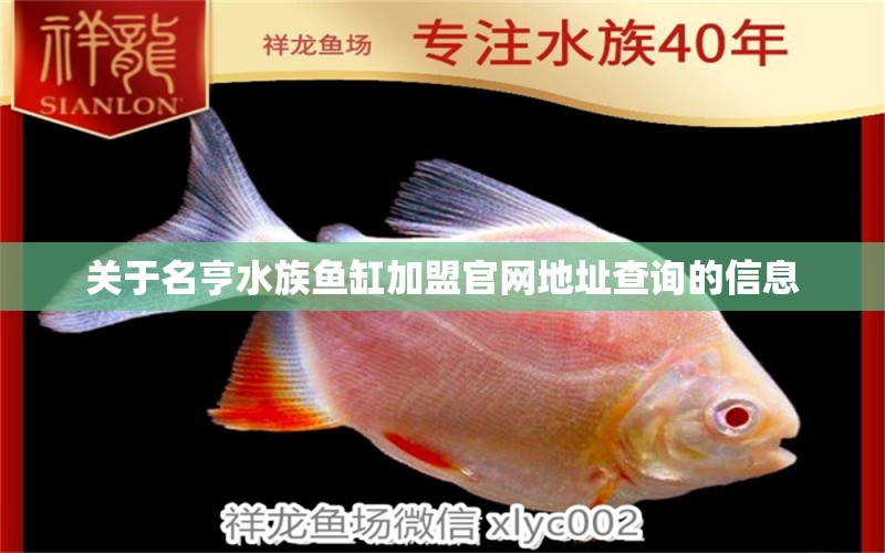 關(guān)于名亨水族魚缸加盟官網(wǎng)地址查詢的信息 泰國雪鯽魚