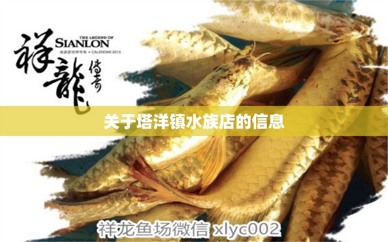 關(guān)于塔洋鎮(zhèn)水族店的信息 薩伊藍(lán)魚(yú) 第1張