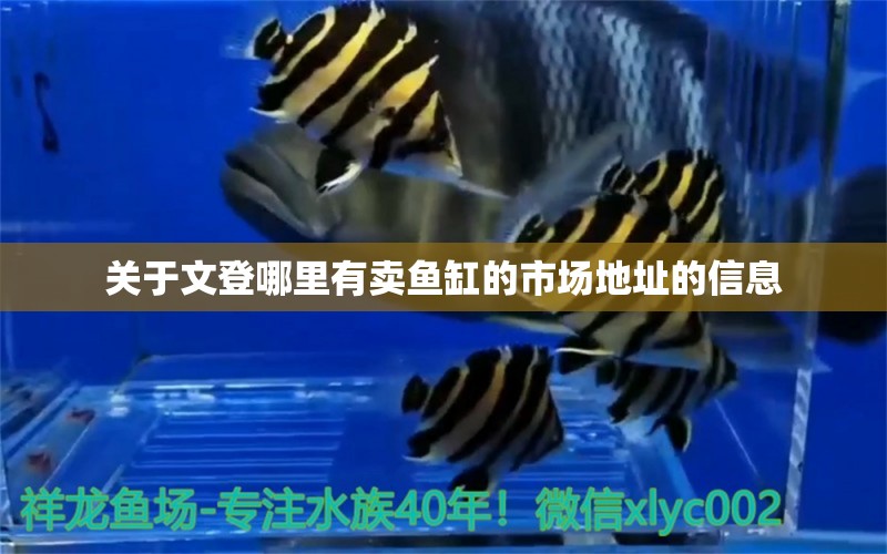 關(guān)于文登哪里有賣魚缸的市場(chǎng)地址的信息 魚缸水質(zhì)穩(wěn)定劑