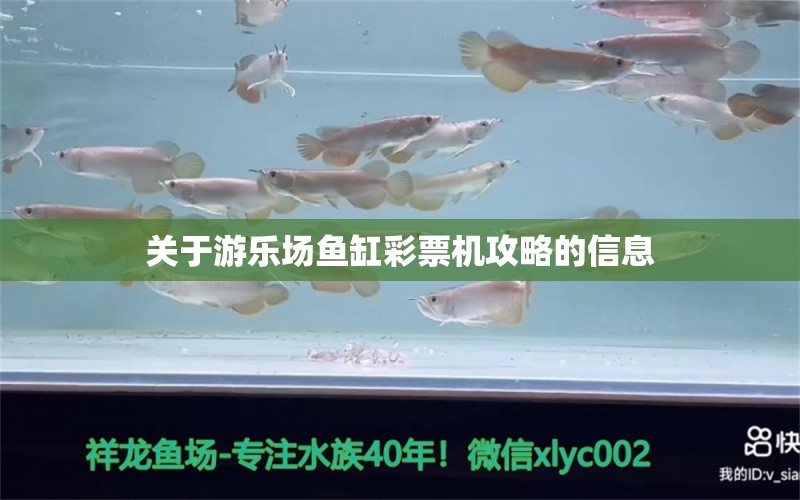 關(guān)于游樂場魚缸彩票機攻略的信息 養(yǎng)魚知識