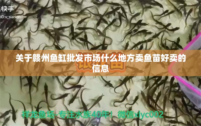 關(guān)于贛州魚缸批發(fā)市場什么地方賣魚苗好賣的信息 其他品牌魚缸