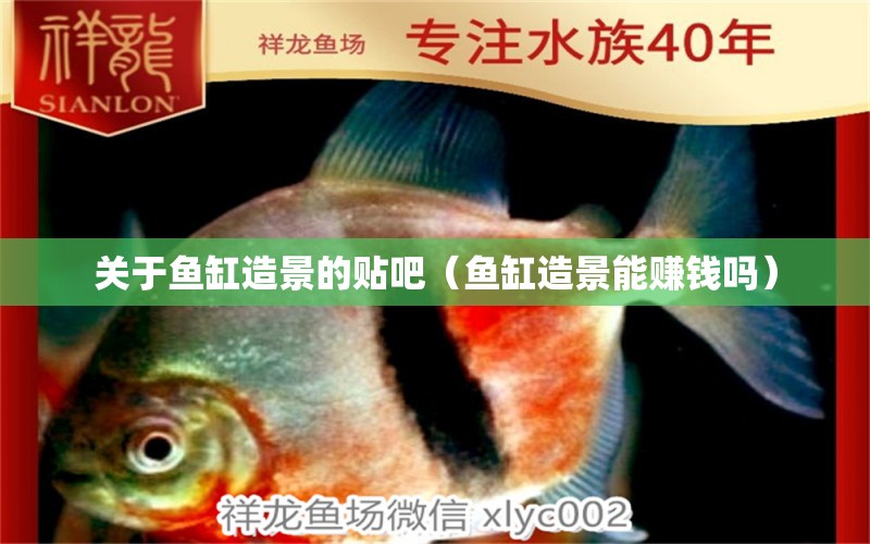 關(guān)于魚缸造景的貼吧（魚缸造景能賺錢嗎）