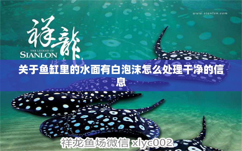 關(guān)于魚(yú)缸里的水面有白泡沫怎么處理干凈的信息