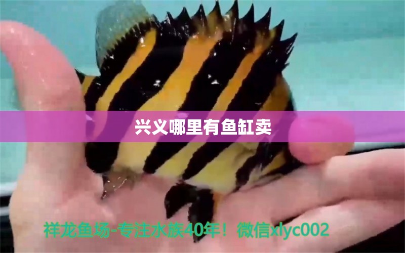 興義哪里有魚缸賣 其他品牌魚缸