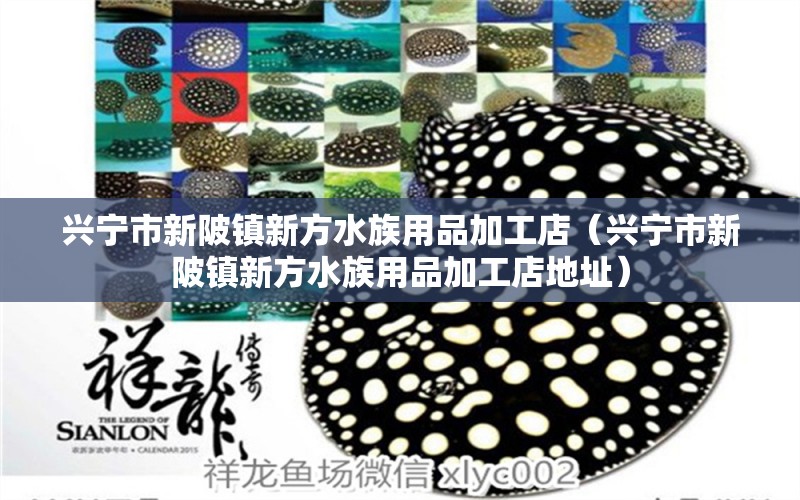 興寧市新陂鎮(zhèn)新方水族用品加工店（興寧市新陂鎮(zhèn)新方水族用品加工店地址） 水族用品