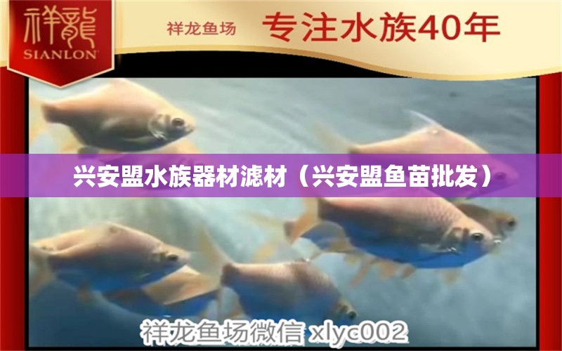 興安盟水族器材濾材（興安盟魚苗批發(fā)）