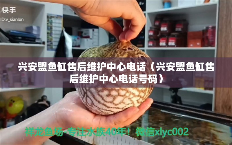 興安盟魚(yú)缸售后維護(hù)中心電話（興安盟魚(yú)缸售后維護(hù)中心電話號(hào)碼）