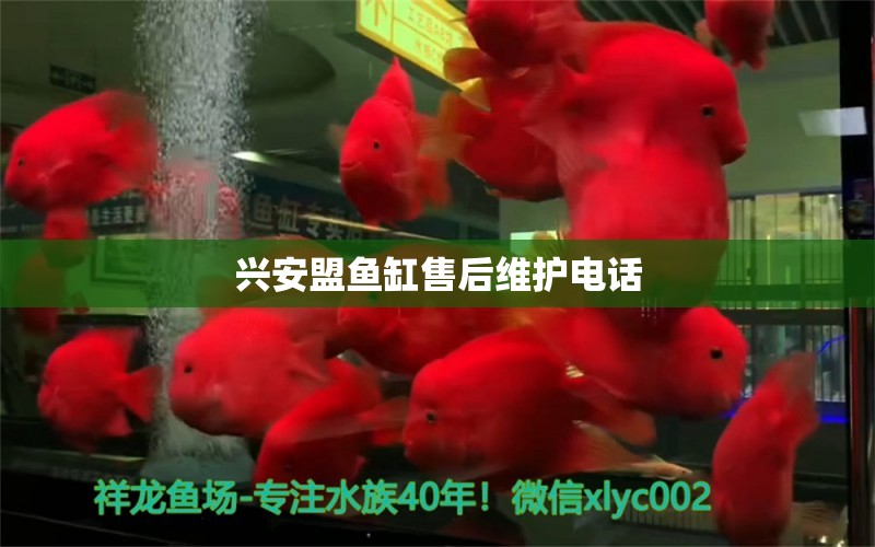 興安盟魚(yú)缸售后維護(hù)電話