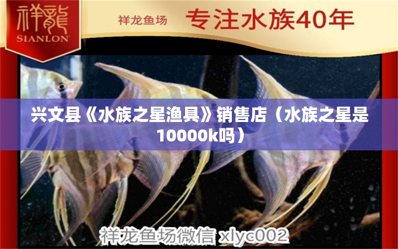 興文縣《水族之星漁具》銷售店（水族之星是10000k嗎）