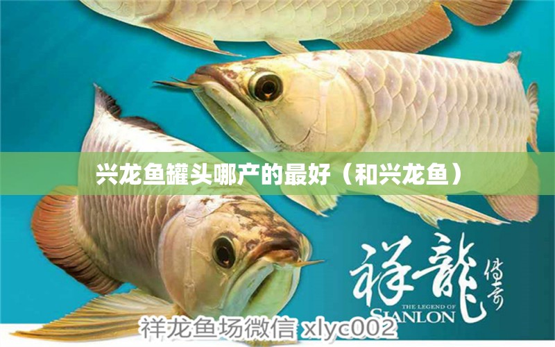 興龍魚(yú)罐頭哪產(chǎn)的最好（和興龍魚(yú)）