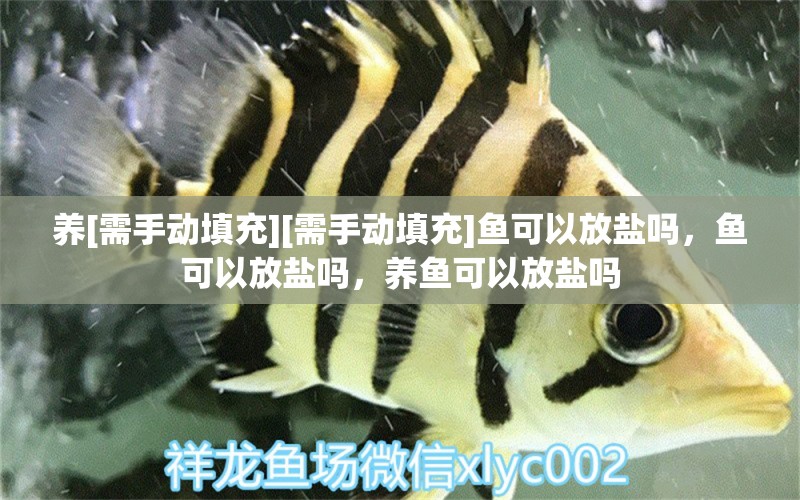 養(yǎng)[需手動(dòng)填充][需手動(dòng)填充]魚可以放鹽嗎，魚可以放鹽嗎，養(yǎng)魚可以放鹽嗎 一眉道人魚苗 第1張