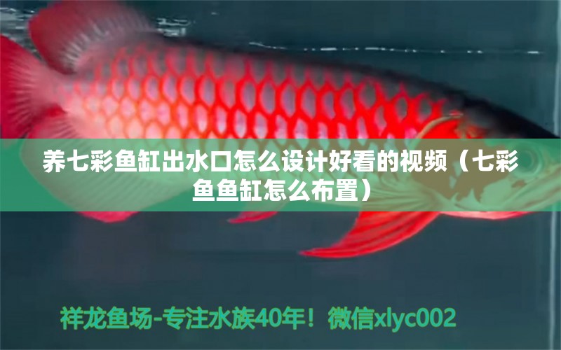 養(yǎng)七彩魚缸出水口怎么設(shè)計好看的視頻（七彩魚魚缸怎么布置）