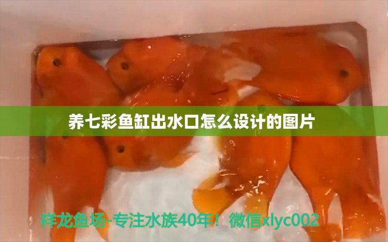 養(yǎng)七彩魚缸出水口怎么設計的圖片 