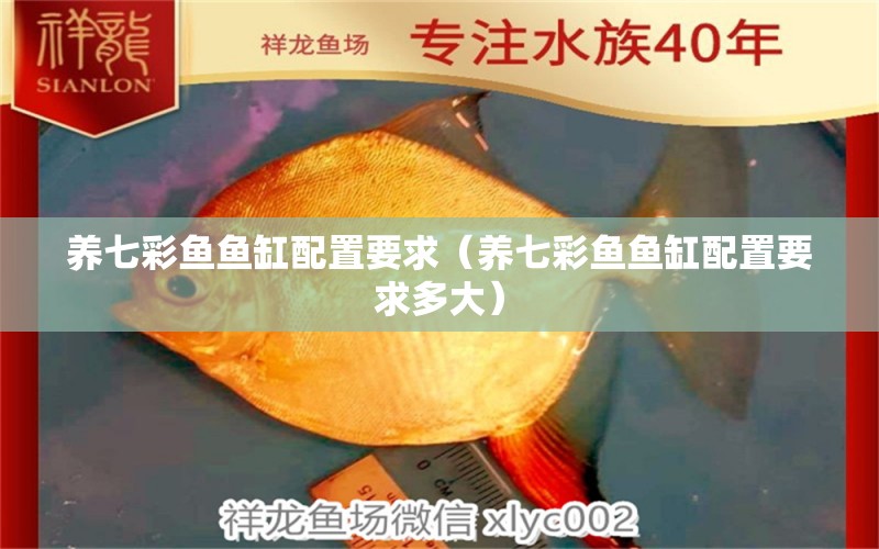 養(yǎng)七彩魚魚缸配置要求（養(yǎng)七彩魚魚缸配置要求多大） 祥龍水族醫(yī)院