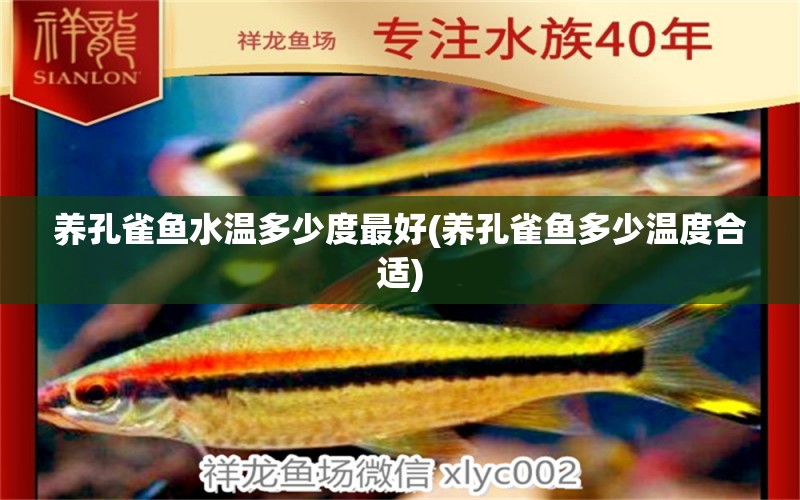 養(yǎng)孔雀魚水溫多少度最好(養(yǎng)孔雀魚多少溫度合適) 斑馬鴨嘴魚苗