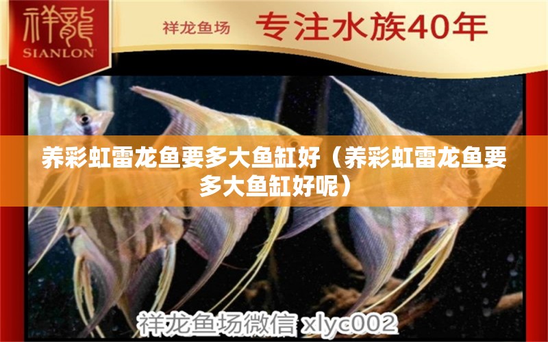 養(yǎng)彩虹雷龍魚(yú)要多大魚(yú)缸好（養(yǎng)彩虹雷龍魚(yú)要多大魚(yú)缸好呢）