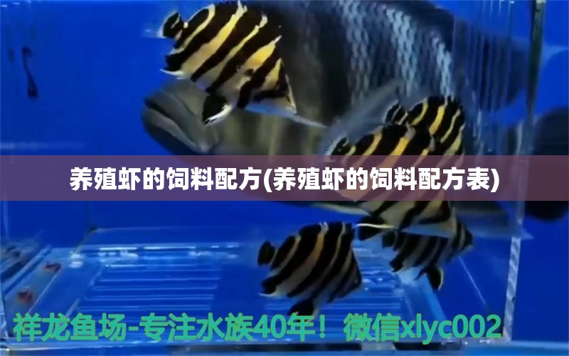 養(yǎng)殖蝦的飼料配方(養(yǎng)殖蝦的飼料配方表) 丹頂錦鯉魚