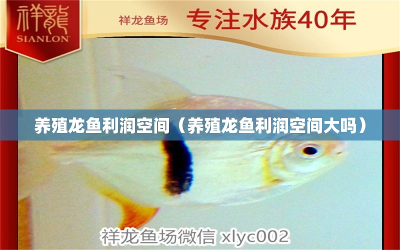 養(yǎng)殖龍魚利潤空間（養(yǎng)殖龍魚利潤空間大嗎）