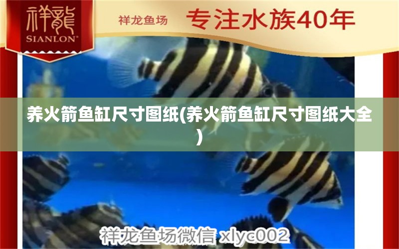 養(yǎng)火箭魚缸尺寸圖紙(養(yǎng)火箭魚缸尺寸圖紙大全)