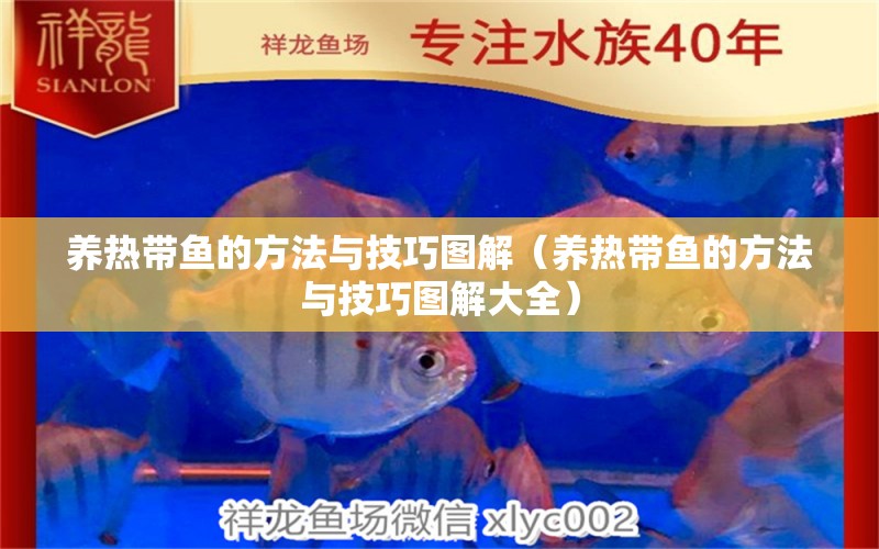 養(yǎng)熱帶魚的方法與技巧圖解（養(yǎng)熱帶魚的方法與技巧圖解大全） 廣州龍魚批發(fā)市場