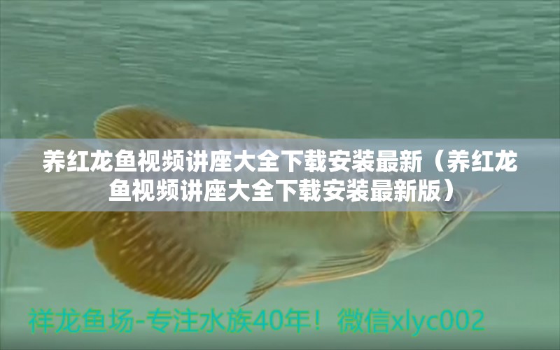 養(yǎng)紅龍魚視頻講座大全下載安裝最新（養(yǎng)紅龍魚視頻講座大全下載安裝最新版）