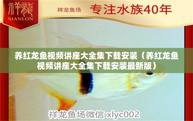 養(yǎng)紅龍魚視頻講座大全集下載安裝（養(yǎng)紅龍魚視頻講座大全集下載安裝最新版）