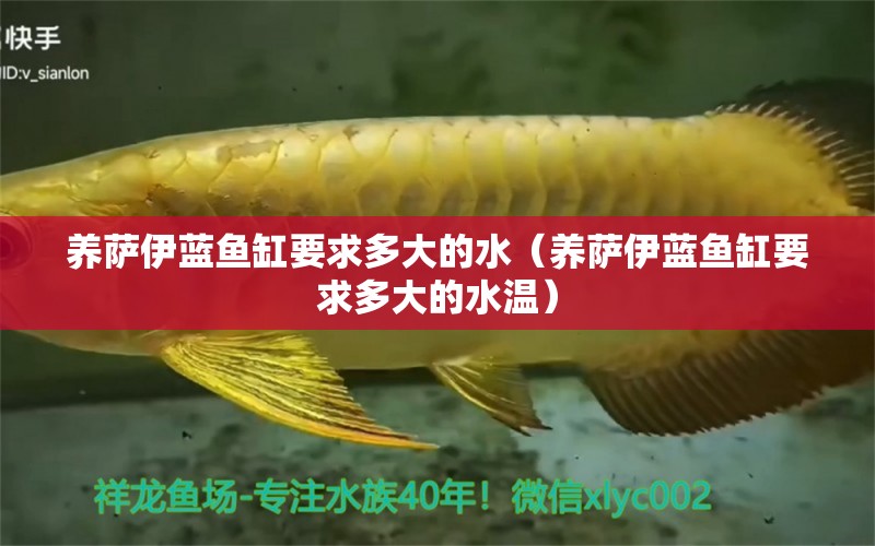 養(yǎng)薩伊藍魚缸要求多大的水（養(yǎng)薩伊藍魚缸要求多大的水溫）