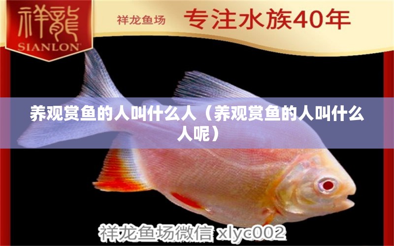 養(yǎng)觀賞魚的人叫什么人（養(yǎng)觀賞魚的人叫什么人呢）