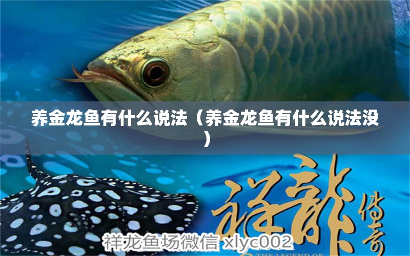 養(yǎng)金龍魚有什么說法（養(yǎng)金龍魚有什么說法沒）