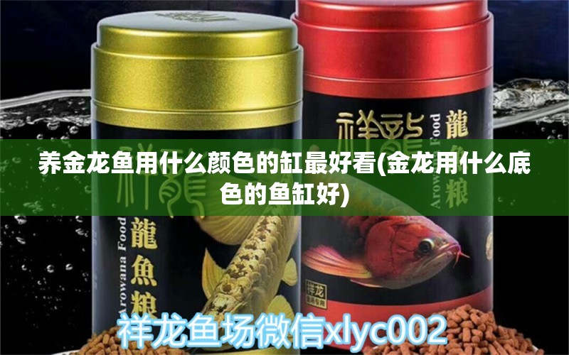 養(yǎng)金龍魚用什么顏色的缸最好看(金龍用什么底色的魚缸好) 網(wǎng)上購買觀賞魚