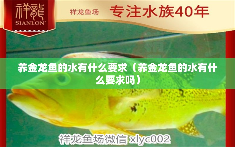 養(yǎng)金龍魚的水有什么要求（養(yǎng)金龍魚的水有什么要求嗎）