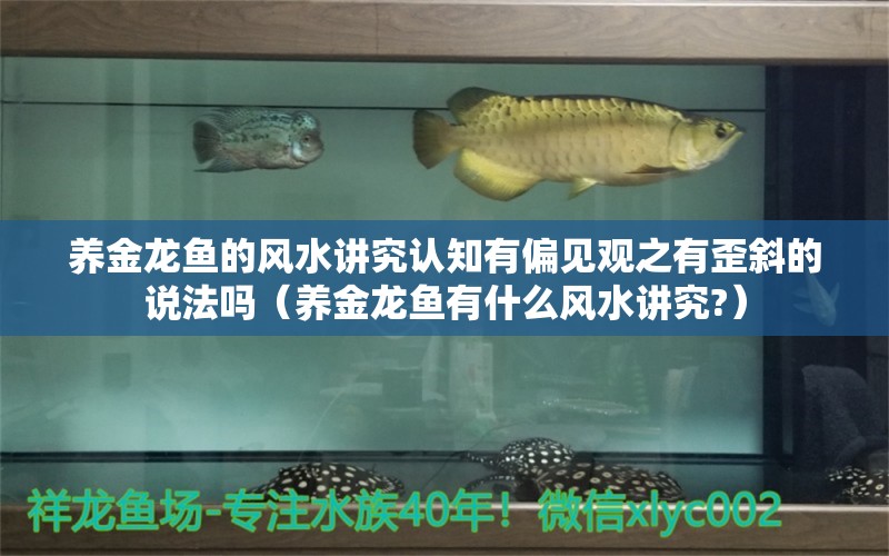 養(yǎng)金龍魚的風(fēng)水講究認(rèn)知有偏見觀之有歪斜的說法嗎（養(yǎng)金龍魚有什么風(fēng)水講究?）