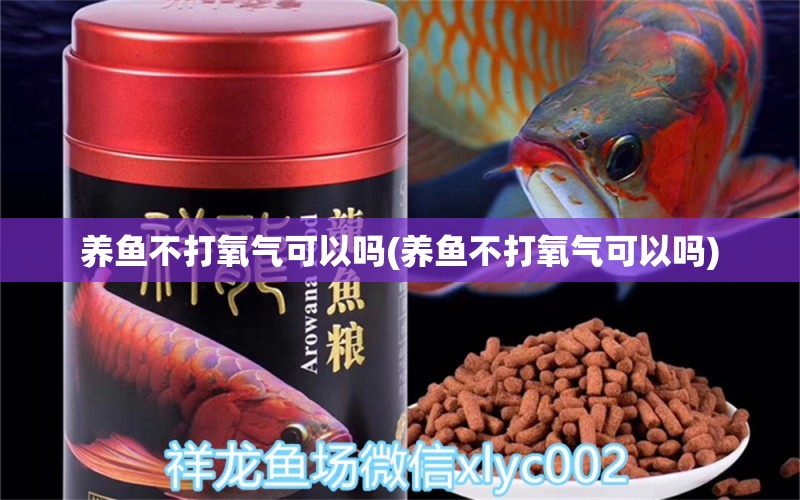 養(yǎng)魚不打氧氣可以嗎(養(yǎng)魚不打氧氣可以嗎) 黑桃A魚