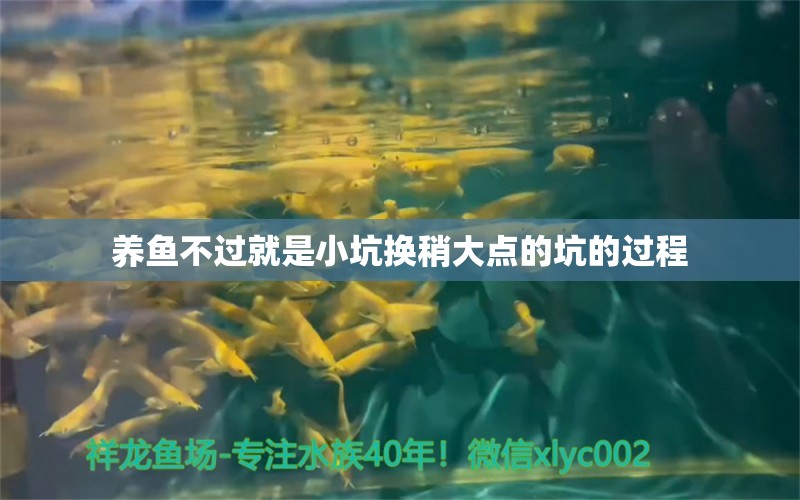 養(yǎng)魚不過就是小坑換稍大點(diǎn)的坑的過程 觀賞魚論壇 第3張