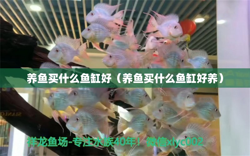 養(yǎng)魚買什么魚缸好（養(yǎng)魚買什么魚缸好養(yǎng)）