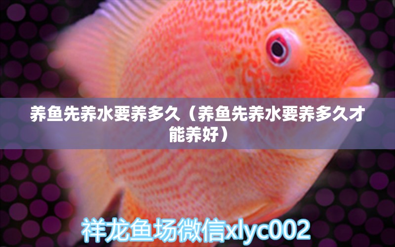 養(yǎng)魚先養(yǎng)水要養(yǎng)多久（養(yǎng)魚先養(yǎng)水要養(yǎng)多久才能養(yǎng)好）