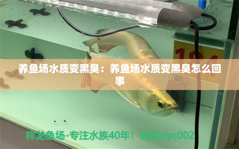 養(yǎng)魚場水質(zhì)變黑臭：養(yǎng)魚場水質(zhì)變黑臭怎么回事