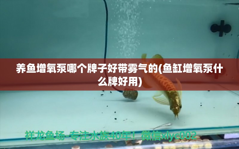 養(yǎng)魚(yú)增氧泵哪個(gè)牌子好帶霧氣的(魚(yú)缸增氧泵什么牌好用) 短身紅龍魚(yú)