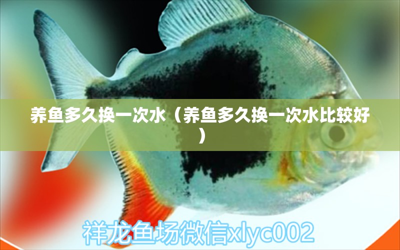 養(yǎng)魚多久換一次水（養(yǎng)魚多久換一次水比較好） 照明器材