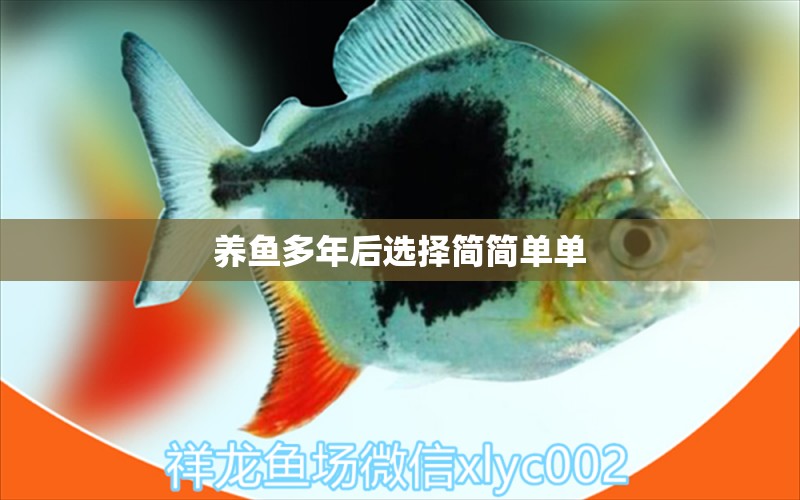 養(yǎng)魚多年后選擇簡(jiǎn)簡(jiǎn)單單 觀賞魚論壇 第2張