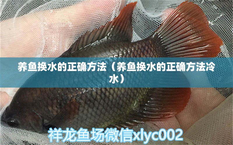 養(yǎng)魚換水的正確方法（養(yǎng)魚換水的正確方法冷水）