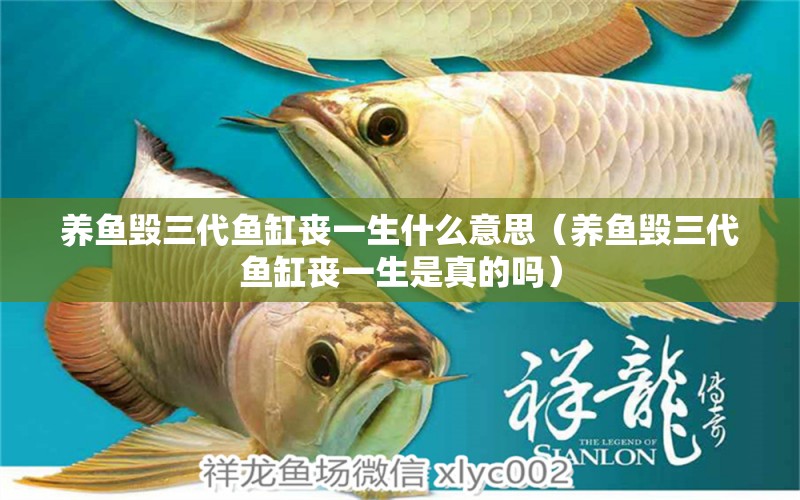 養(yǎng)魚毀三代魚缸喪一生什么意思（養(yǎng)魚毀三代魚缸喪一生是真的嗎）