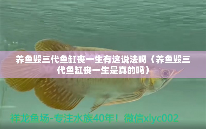 養(yǎng)魚毀三代魚缸喪一生有這說法嗎（養(yǎng)魚毀三代魚缸喪一生是真的嗎）