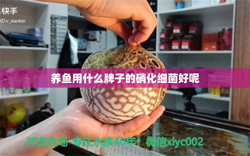 養(yǎng)魚用什么牌子的硝化細(xì)菌好呢 硝化細(xì)菌