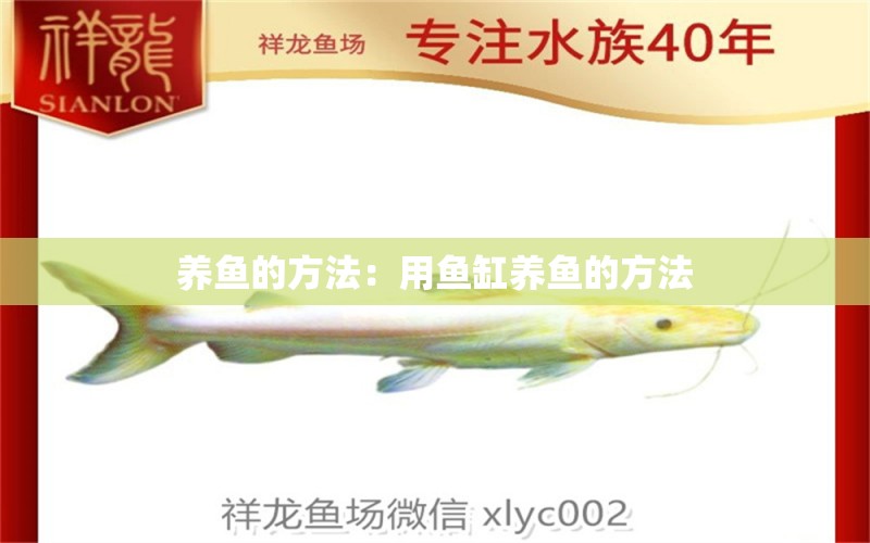 養(yǎng)魚的方法：用魚缸養(yǎng)魚的方法